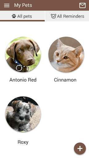 Cibolo Canyons Vet Screen 3