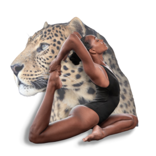 Stretching’appli logo