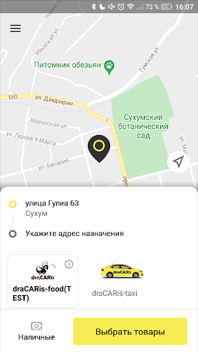 draCARis-service Screen 2