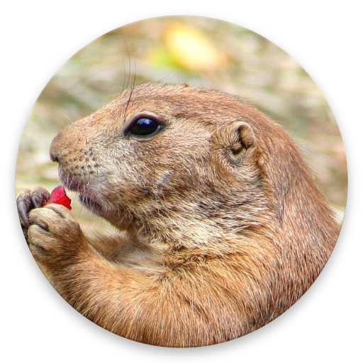 DiggieDog: A Gopher Client logo