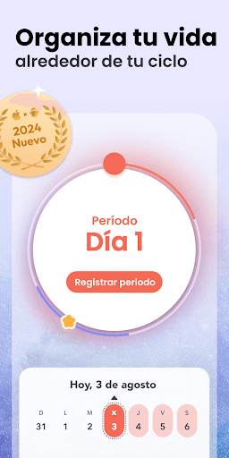 Vista previa de la aplicación