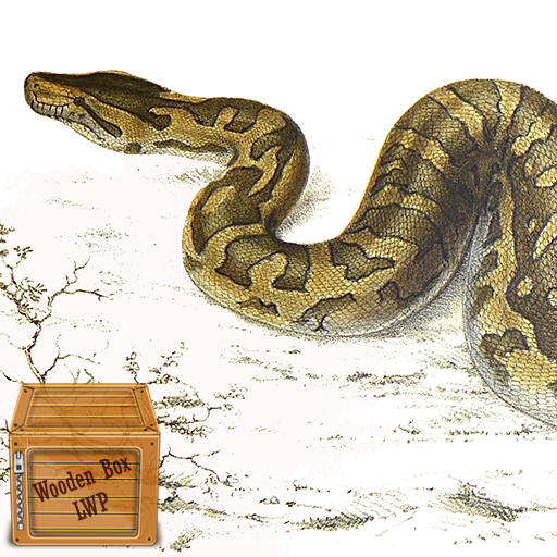 ball python wallpaper logo