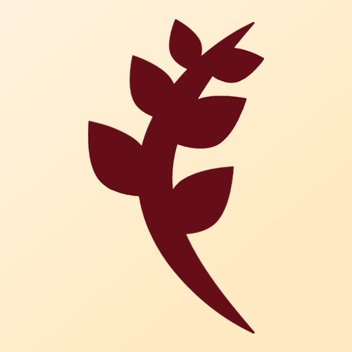 Get Candira | كانديرا for Android Aso Report