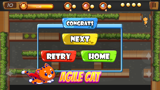 Agile Cat