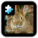 ジグソーパズル：ウサギ