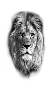 Lion Tattoo