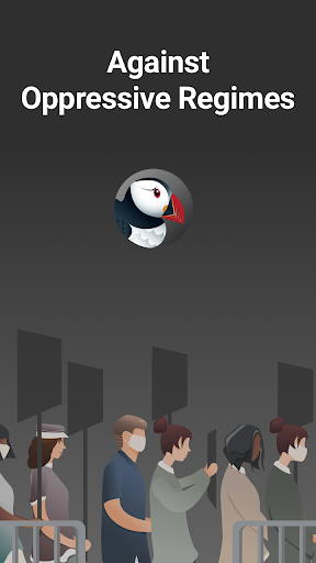 Screenshot of Puffin Incognito Browser