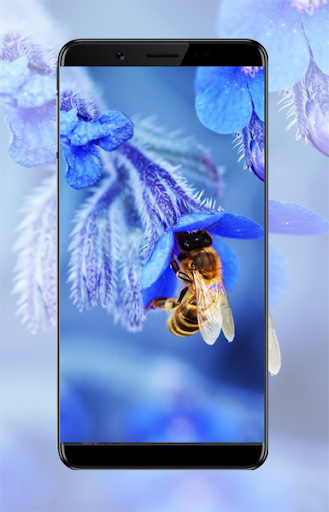 Macro Wallpapers Awesome Screen 2