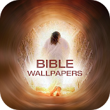 400 + Holy Bible HD Wallpapers icon