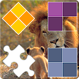Play with animals icon