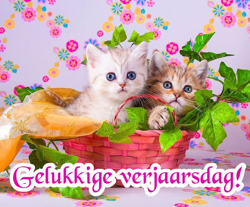Gelukkige verjaarsdag Beelde Screen 2