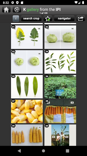 K Gallery Screenshot 2 - AppWisp.com