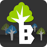 Branch - Social Search icon