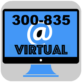 300-835 Virtual Exam