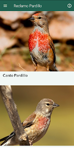 Captura 1 Reclamo Pardillo android