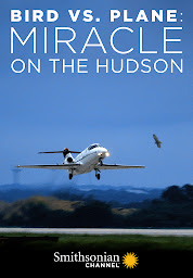 Icon image Bird vs. Plane: Miracle on the Hudson