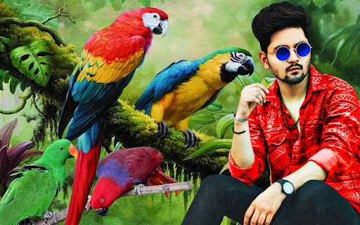 Parrot photo editor bird frame Screen 3