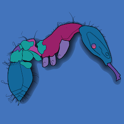 Icon image Antkey Mobile