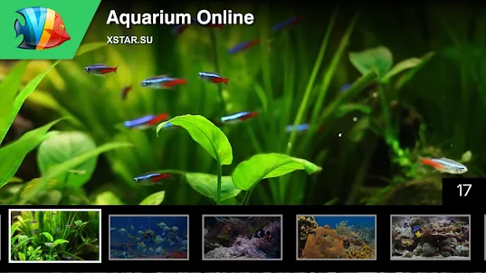 Aquarium Online