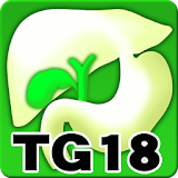 Tokyo Guidelines (TG18) icon