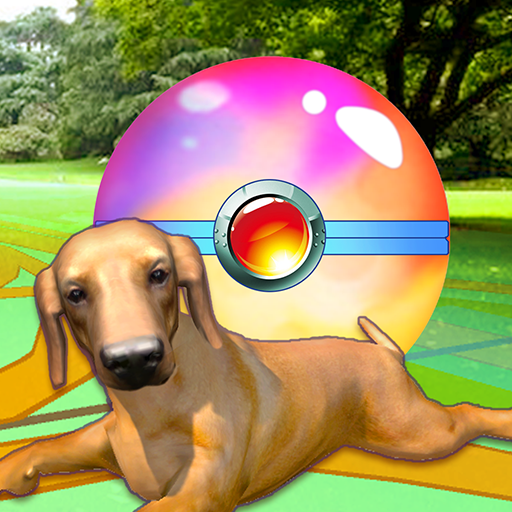 Puppy GO 4.2 Icon