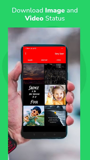 Story Saver Screen 3