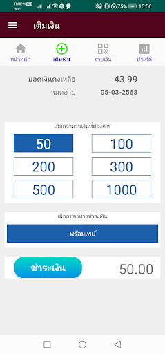 iCash Card Screen 3