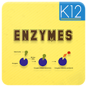 Top 30 Education Apps Like Enzymes and its Properties - Best Alternatives