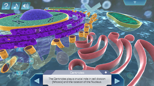 Android application Cell World screenshort