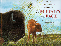 Symbolbild für The Buffalo are Back