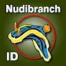 Nudibranch ID Australia & New Zealand