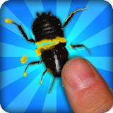 Best Bug Smasher icon