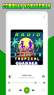 Cumbias Sonideras screenshot 5