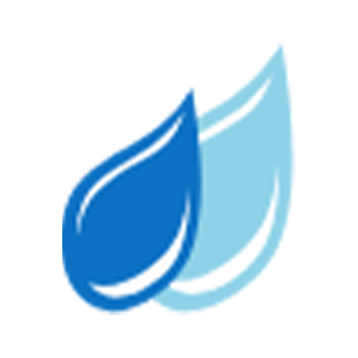 wirreinigendeinauto24 logo