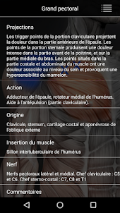Muscle trigger point anatomie