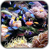 Tropical Aquarium LWP( FREE) icon