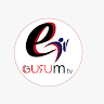 eGURUm tv