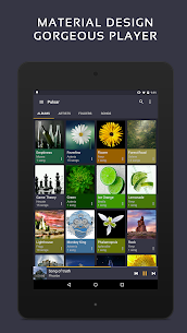 Pulsar Music Player Pro MOD APK (Patched/Full) 9