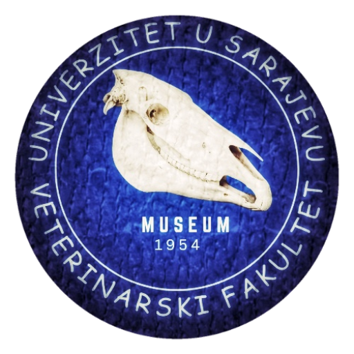 vfs-museum logo