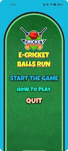 E-Cricket Balls Run