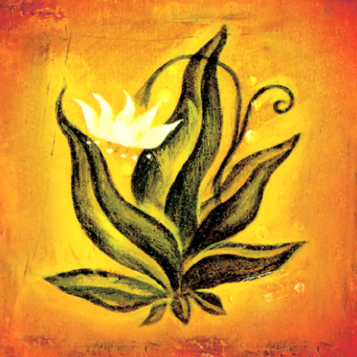 Le Carte di Don Miguel Ruiz logo