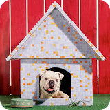 Dog House Design icon