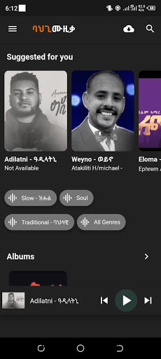 Bahgi Musika - ባህጊ ሙዚቃ