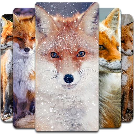 Fox Wallpaper‏ Download on Windows