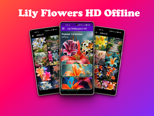 Android application Lily Wallpapers Offline HD screenshort