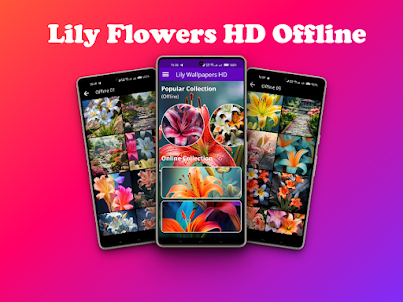 Lily Wallpapers Offline HD