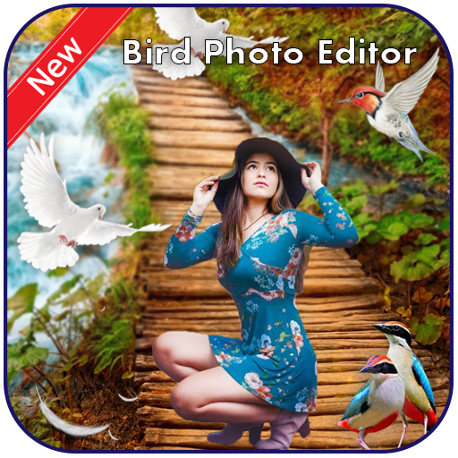 Bird Photo Editor  Icon