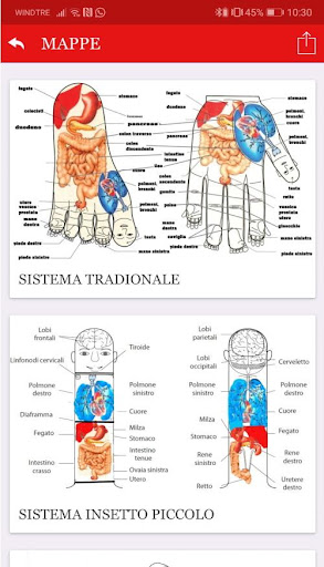 Android application riflessologia sujok screenshort