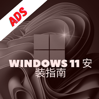 新的 Windows 11 安装教程