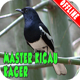 Master Kicau Kacer MP3 icon